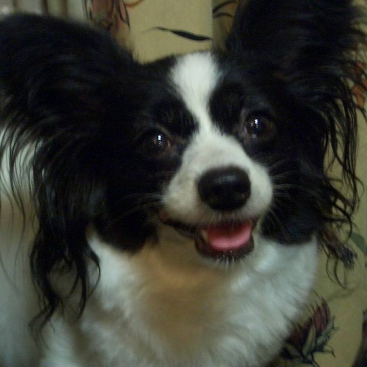 D8ce4110 b94d 4736 b23c 7bfe579d0022