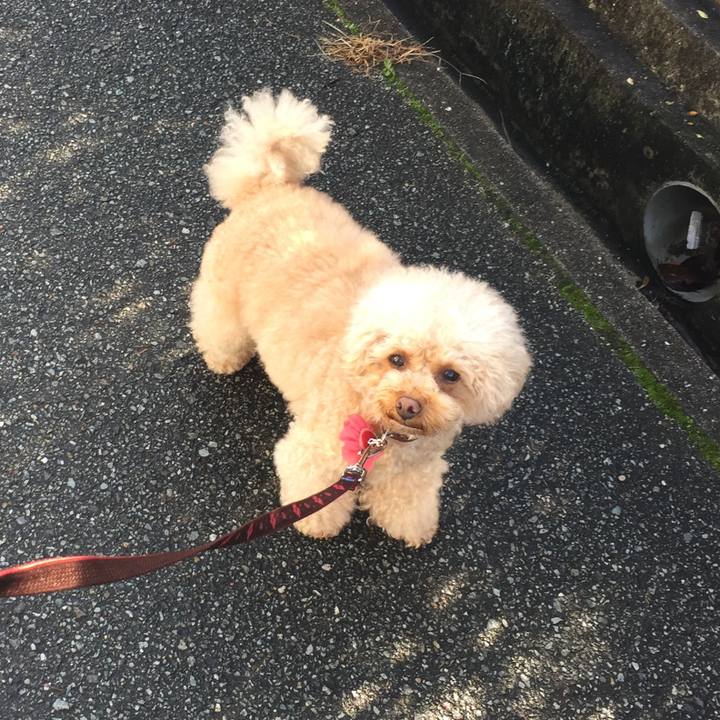 D8cefab2 ed3a 4778 8e9a 0f1a9ac0e07b