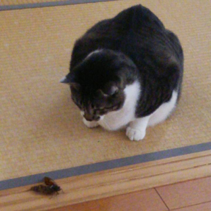 D8cf468d 4d72 4b97 8d65 df6f190d5c08