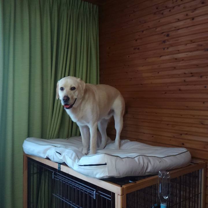 D8cf54bc 01c2 49c1 bb6b 3db69a3f548c