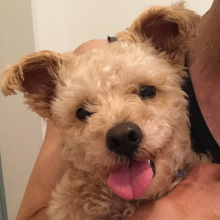 D8d058b6 0f59 45fa a784 5d4842c0831d