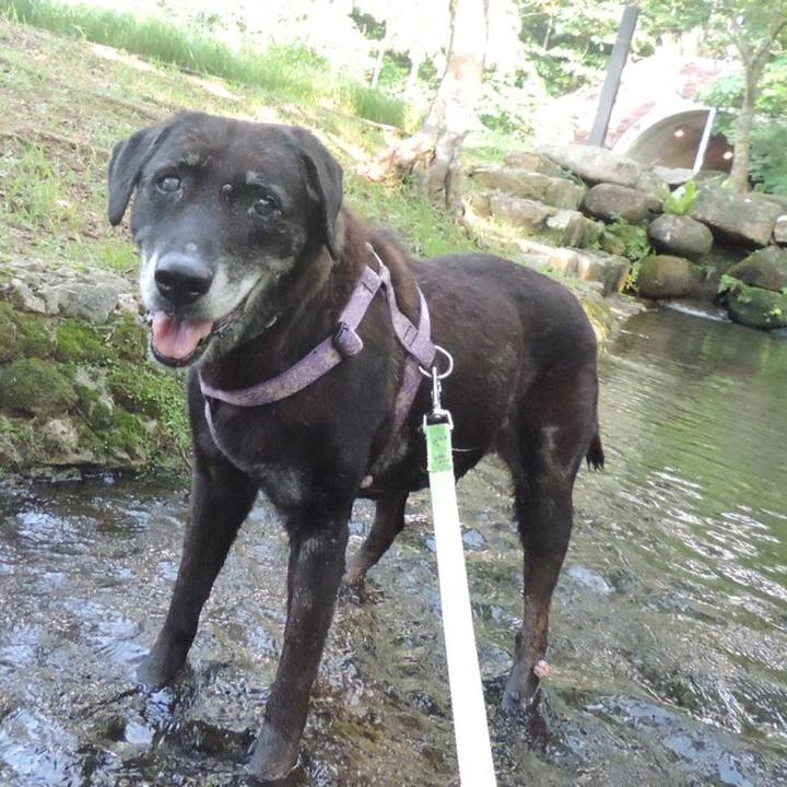 D8d0913a 7a1d 491a af7f c7e894fef893