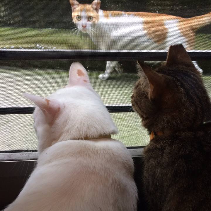 D8d09677 3d7b 46f2 a4bd 380f46e24833