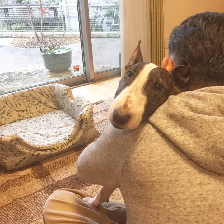 D8d0f696 a093 447f b710 c50802454c7e