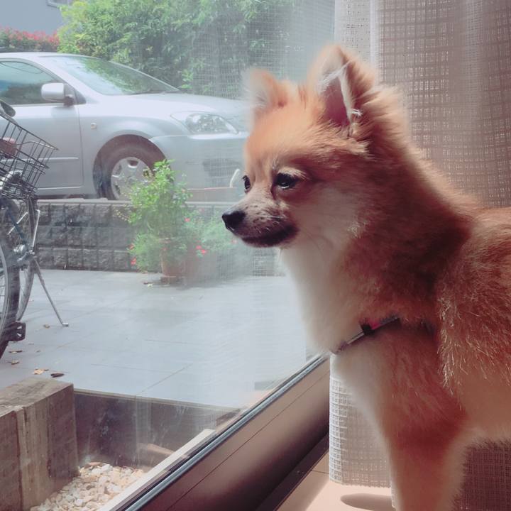 D8d134e6 ea55 4a72 89fd 2ffb27f77faf