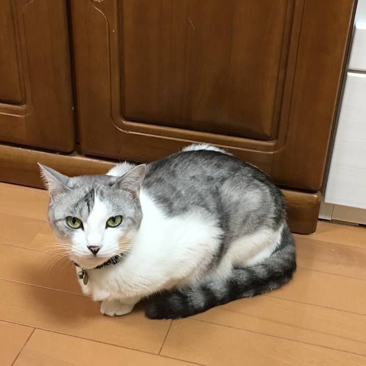 D8d1b1ef 7a4e 40fc 9418 609985436b7e