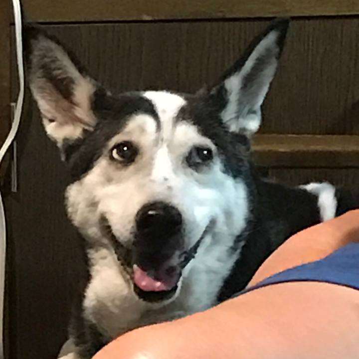 D8d25cd3 794b 4fae 9d22 fc12facdcfe5