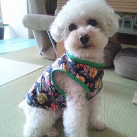 D8d2cc81 cf8c 4eee a4c4 ad9dc33f8cbb