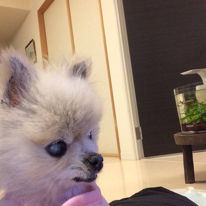 D8d31d55 2406 44e1 850e 8caffb66243d