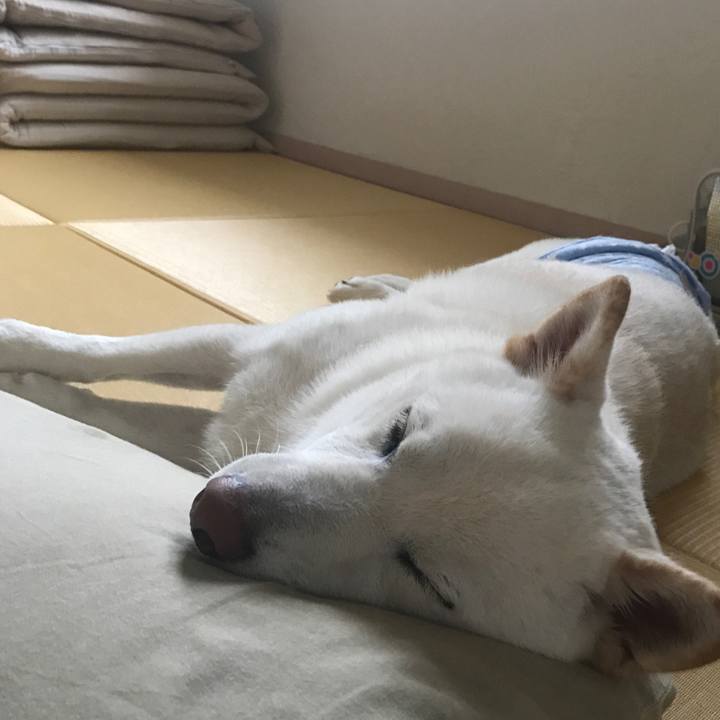 D8d33980 6cc5 418f b63d 9a98518269e9