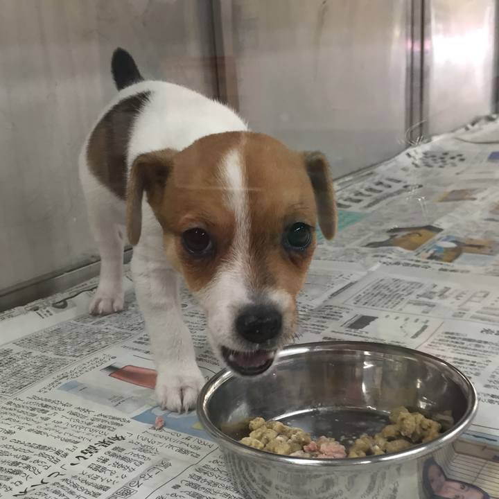 D8d35c35 6543 48f6 b42e 7ccd9d790e8b