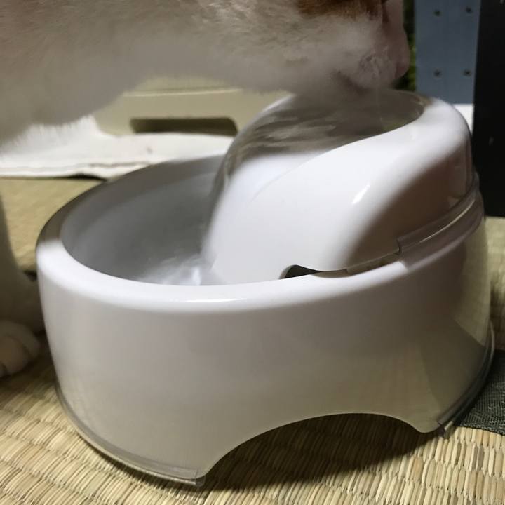 D8d3ca63 5ea7 420e a5f6 a16f695fd404