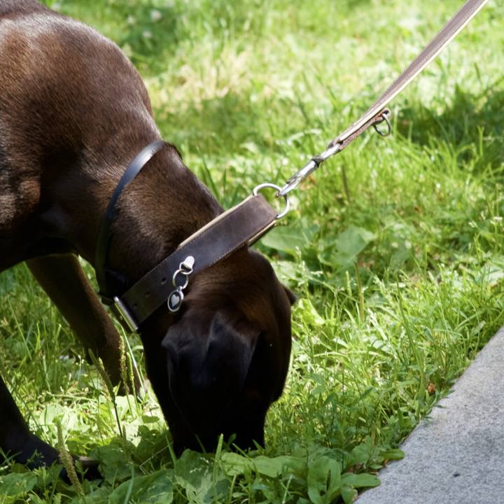 D8d43e0a 6e62 423c ab62 9957b507db60