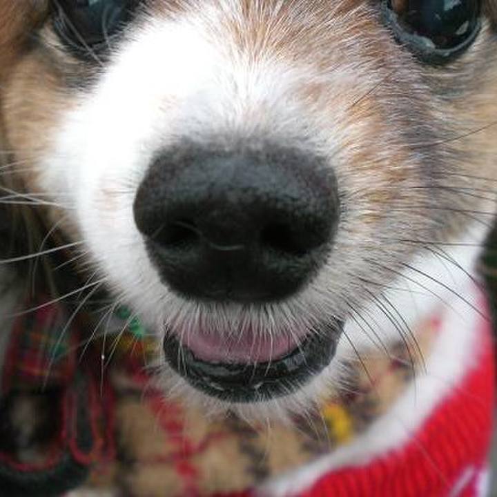 D8d44257 92de 4ec7 8502 9da8d965200b