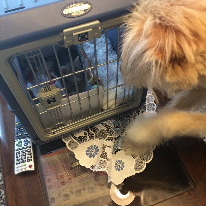 D8d4453b 843d 4240 b947 301bef2e3e39