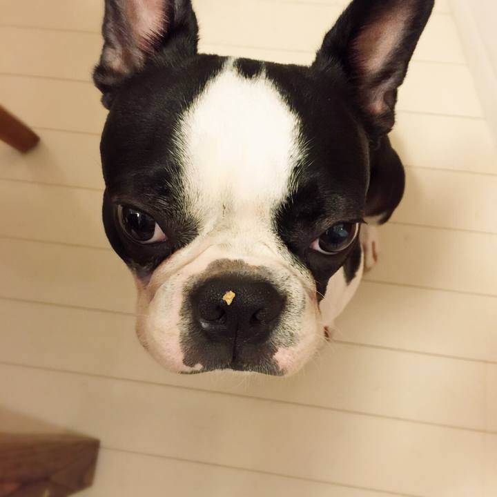 D8d4c48e 8fa4 4fc0 877c 07f13547e64d