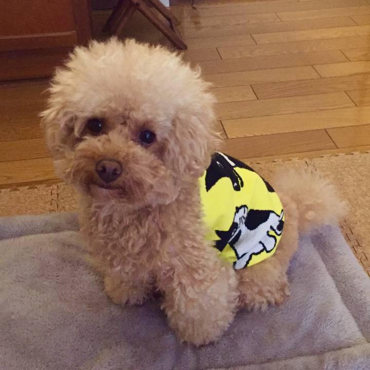 D8d515dc 238e 4174 852a 78b466e51441