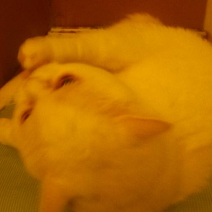 D8d582fa 1ca6 4c28 8b35 c11b8485bef1