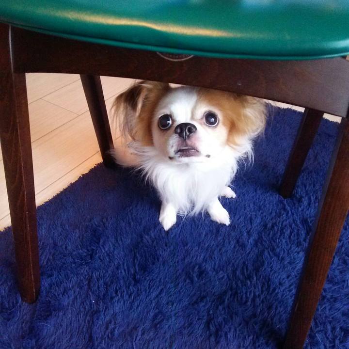 D8d588ad d09d 4880 82d1 688feeb30440