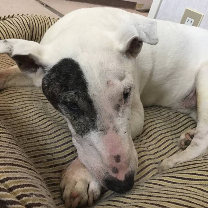 D8d6c248 4771 4973 a10d 341ed097c001