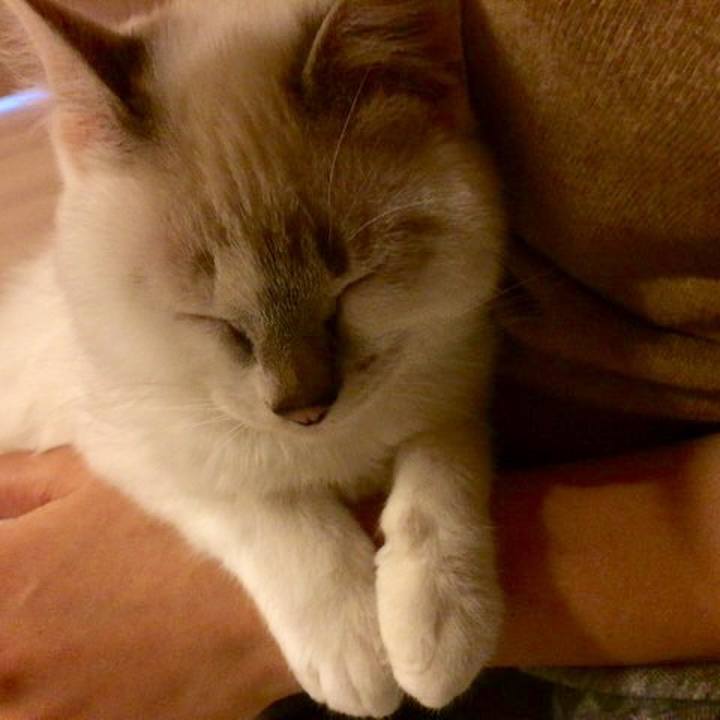 D8d70861 da25 4907 a377 997490c54ae1