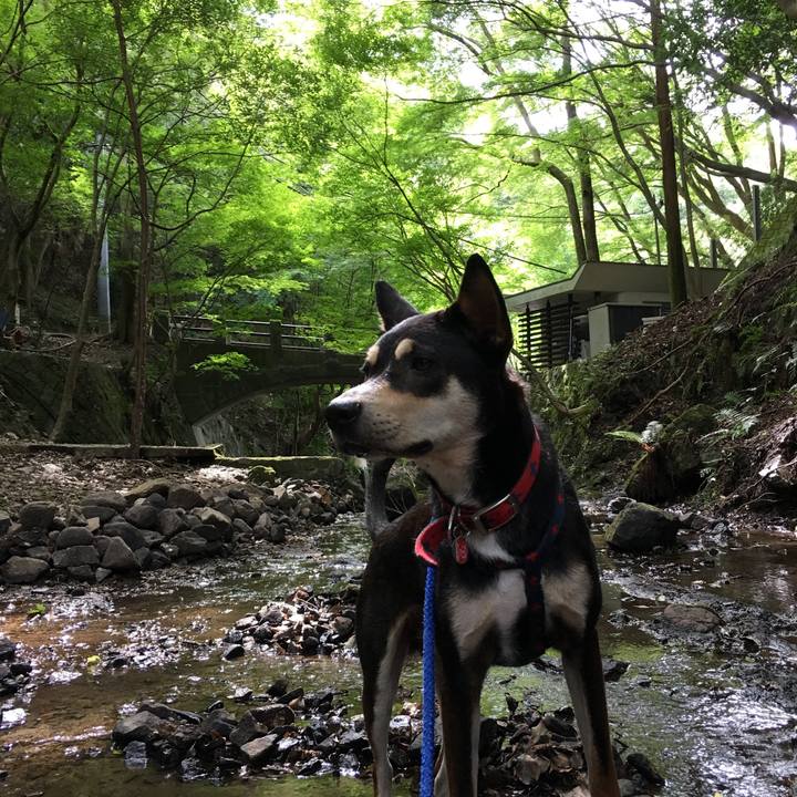 D8d7133d c183 4763 902b 952d7fad7a2e