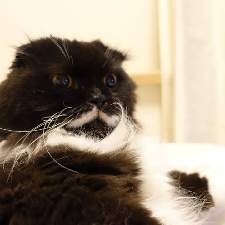 D8d72a26 7296 4c2d bbcb bc5bed4af351