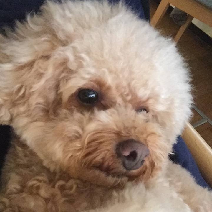 D8d74e6c da23 440e 90a6 edb572aadf9c