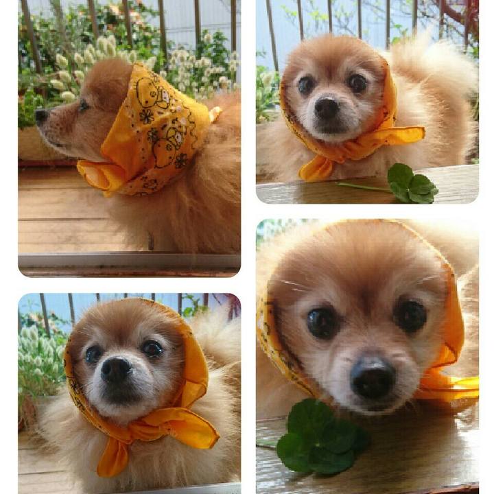 D8d7817c 894a 4204 bed3 0acae81dd1aa