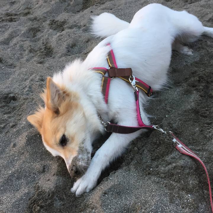 D8d7880e 6338 46d2 85e8 943d3af0bc37