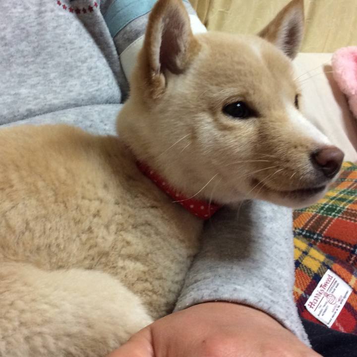 D8d811e5 65b3 45ce 9f29 5056fd20931f