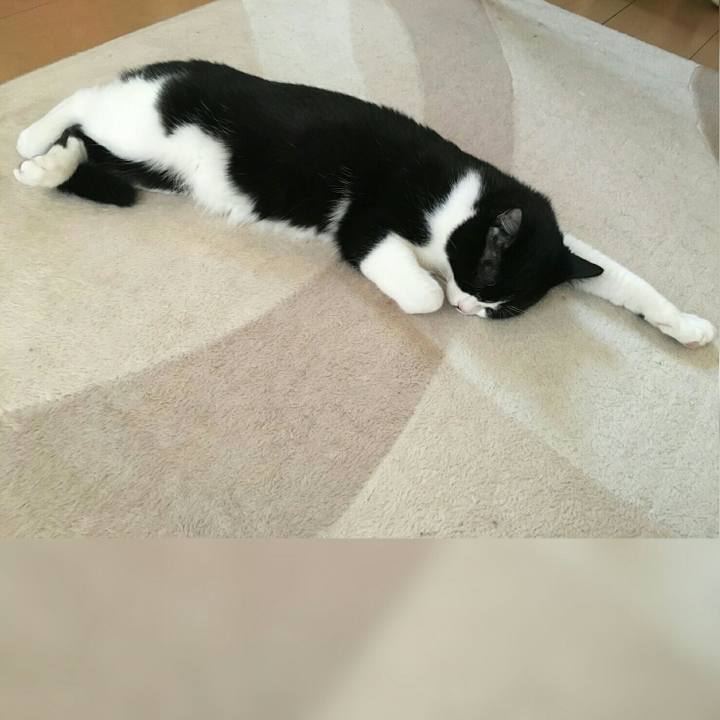 D8d86e6e d769 43d8 948f 1db07c52ca9a