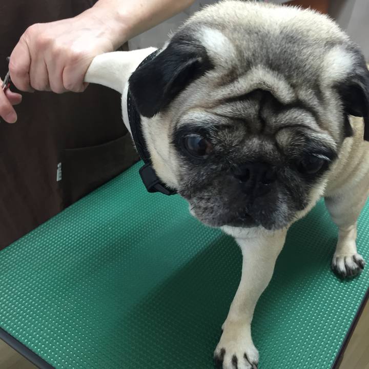 D8d8834b c09b 4727 b743 687d5979cb24