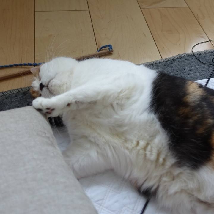 D8d91b33 98c2 463a 9bee 2fa572fffbbc