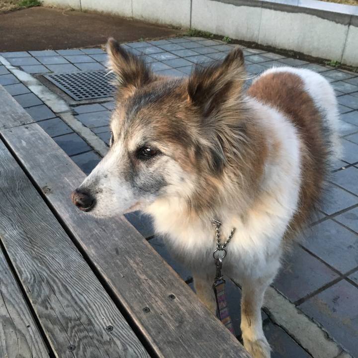 D8da6078 00d8 40f4 934b 12718ed38ff1