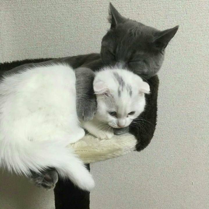 D8da923c 98a1 4336 91da 1da347e0ee47