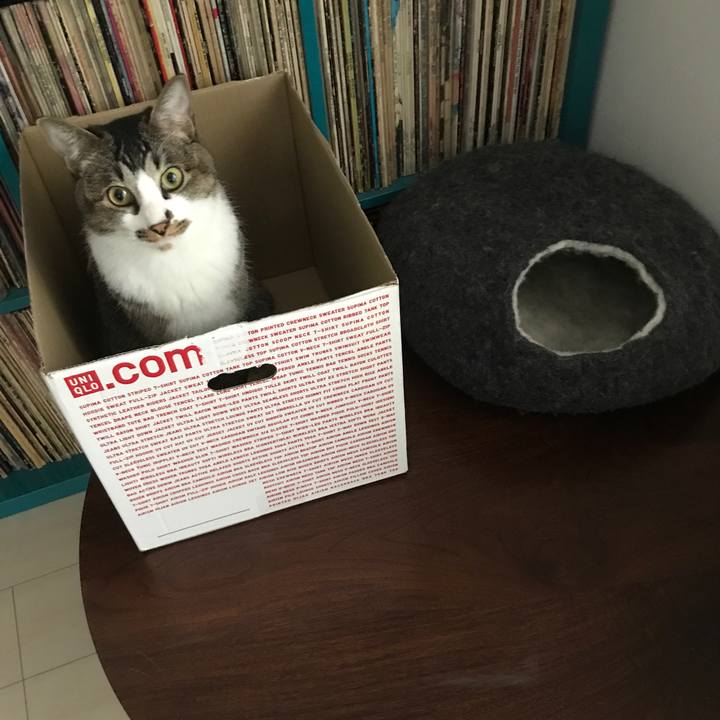 D8db5022 30b7 454b a766 4d86e02fcfd1