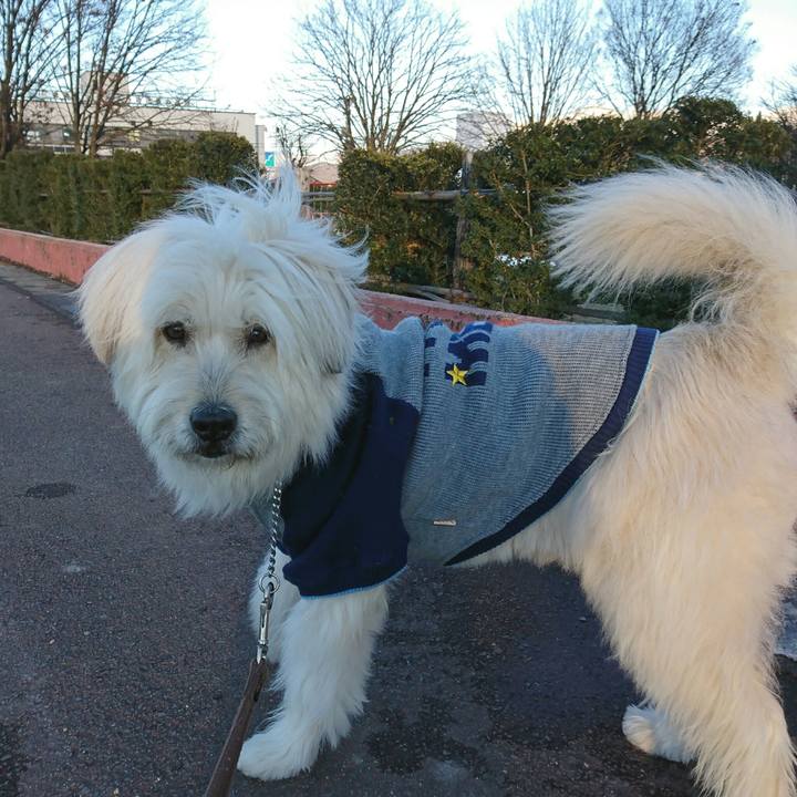 D8dbde7f 22c4 4b27 a0da 73f9c0dea602