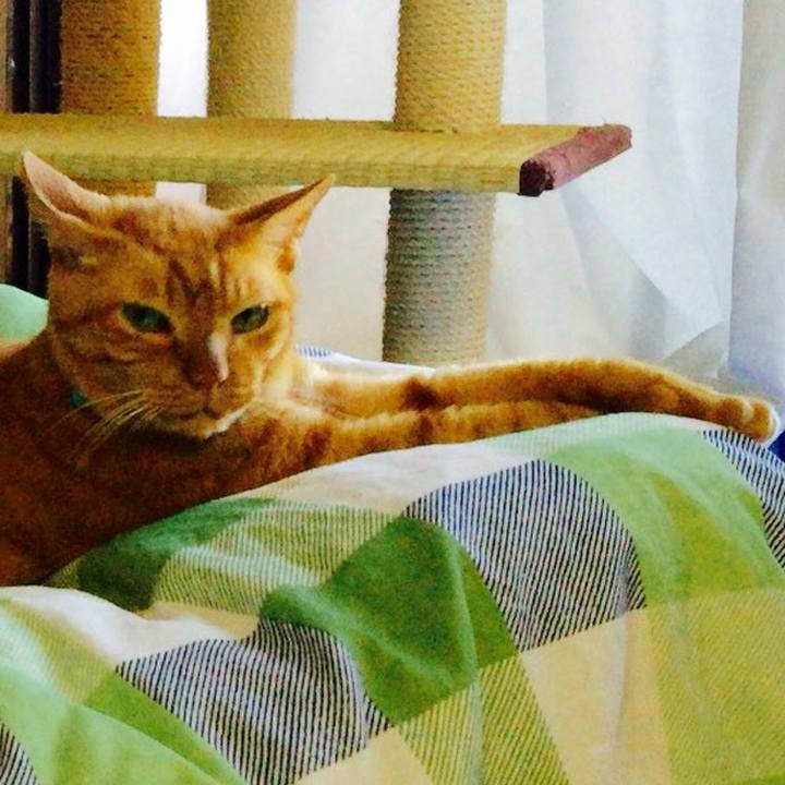 D8dc2ff3 9eb8 44a5 a2c1 a520508db7f1