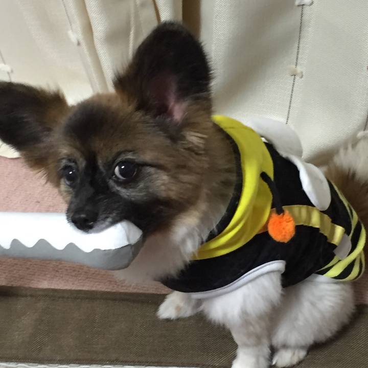 D8dd0a8e 4f35 4c04 b59f d26083712b99