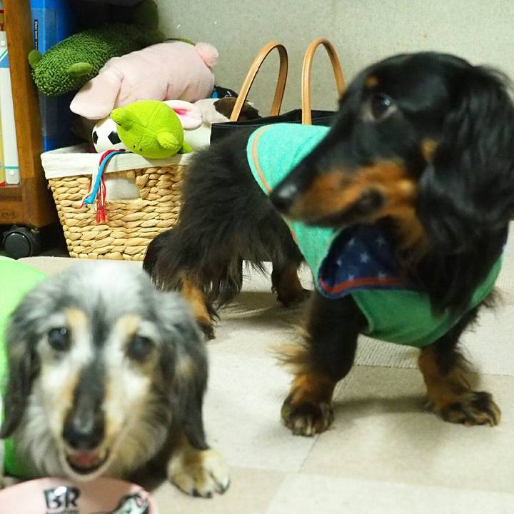 D8dd1c55 4e2a 4d57 8418 dbf8cb035f85