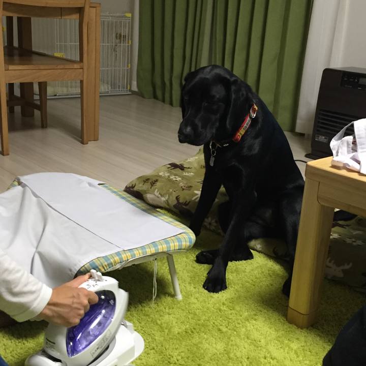 D8ddce9b ceeb 4f60 b1ac f749217f235d