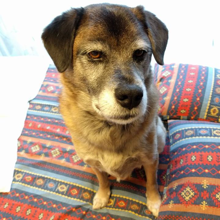 D8dec7ba 889e 47c1 8cda 715ed1fb9f8a