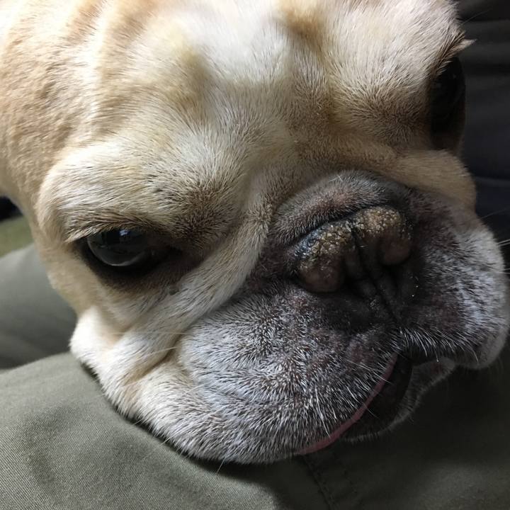 D8df9d75 fce0 44a9 be80 c3a5a4dd31bd