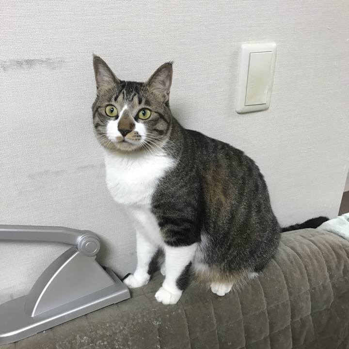 D8e090d5 6527 422f 9724 f2d32e37295d