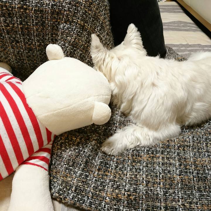 D8e0b887 f1bd 4602 aabb 3c7ae861800d