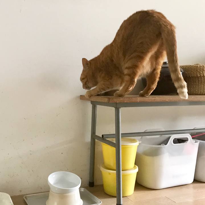 D8e0fbab 327f 4b82 9d57 598be9b87102