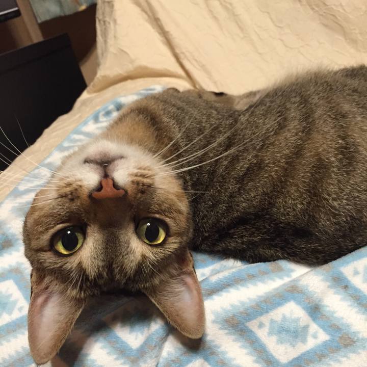 D8e139c7 9b4f 45be b2f0 3207258e7ca5