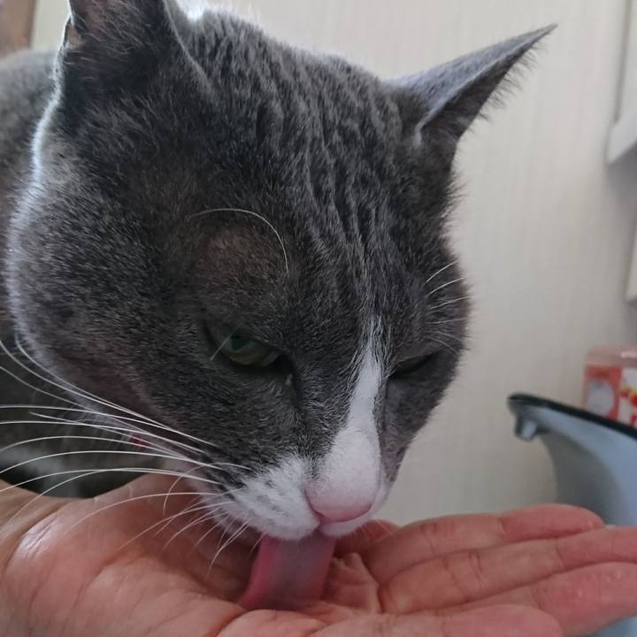 D8e1410c 0f47 4408 8444 cd36c489f5e6