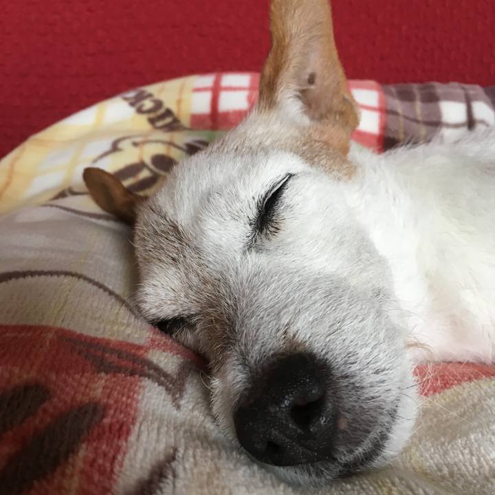 D8e194d1 22b3 41b6 93de 833dfcae7072